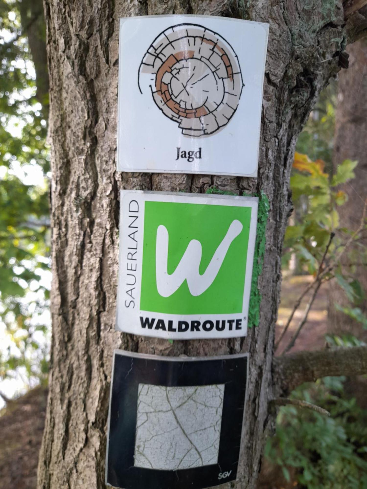 Altes Zollhaus Der Burg Hachen Villa Enkhausen Exteriör bild